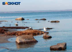 На новой рабочей неделе в Таганроге потеплеет до +14 