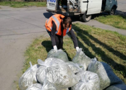 Отчёт МКУ «Благоустройство» по покосу травы в Таганроге