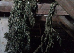 Не далеко от Таганрога два килограмма конопли хранил местный житель 