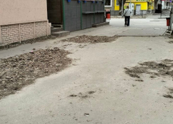 "Гербарий, наверное, собирают": таганрожцы придумали версию почему с улиц не убирают листву