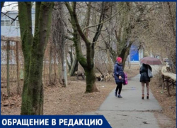 Смелая таганроженка пыталась спасти кота от бродячих собак, но не смогла