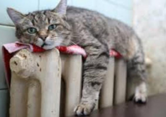 Жители Таганрога могут не дождаться тепла в этом году