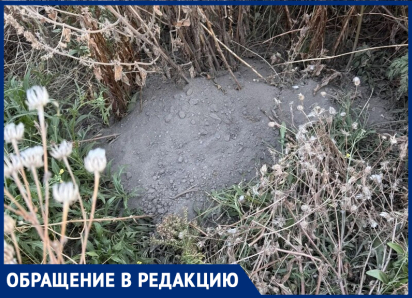 «А куда ещё»: сотрудники «Таганрогского трамвая» засыпали палисадник ядовитым мусором и обматерили жителей