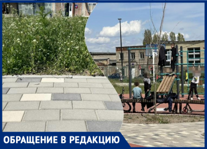 Радость с оговоркой: таганрожцы довольны сквером на Маршала Жукова, но есть несколько «но»