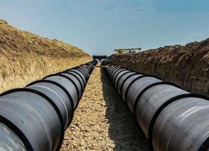 Строительный подрядчик выбрал сохранить природу под Таганрогом, несмотря на большие деньги