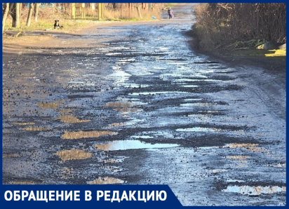 Крик о помощи председателя садового товарищества под Таганрогом тонет в воздухе