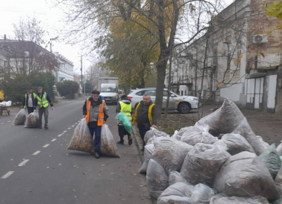 Деньги ушли на штрафы? Опавшую листву в Таганроге уберут не везде