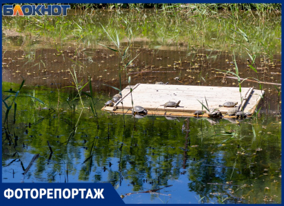 Преобразившаяся роща «Дубки» в Таганроге