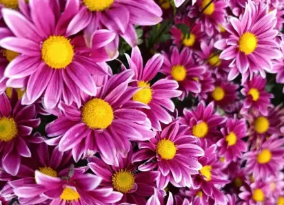 Товар дня: скидка на тур в Крым