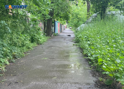Детский сад Таганрога окружен травой по пояс 