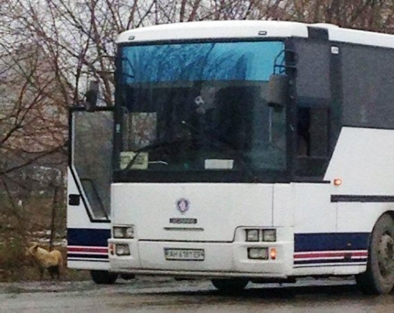 На трассе «Ростов-Таганрог» по подозрению в терроризме задержали пассажирку автобуса «Ростов-Донецк»