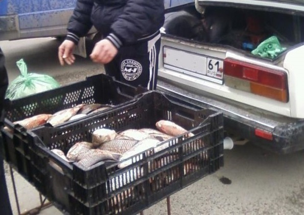 На рынках Таганрога торгуют опасной рыбой
