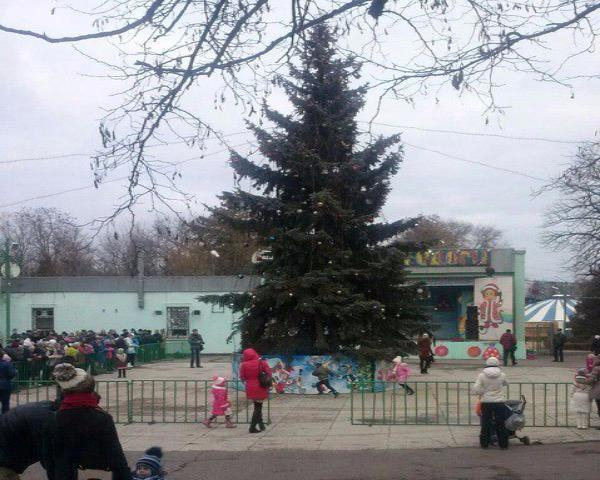 В Таганроге состоялось открытие главной городской елки