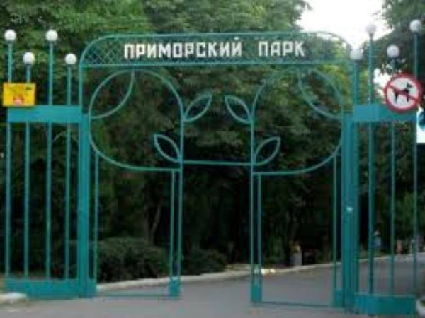 Концепцию развития Приморского парка представят Андрею Майеру 7 июня