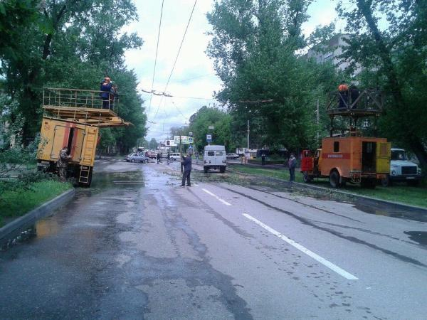 Падение дерева на трамвайную остановку в Таганроге попало на видео