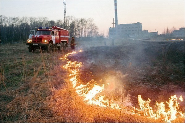 В Ростовской области в этом году произошло 175 возгораний сухой растительности
