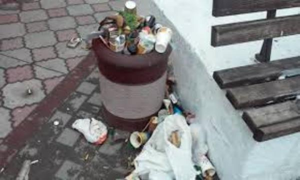В Таганроге предпринимателям, сэкономившим на вывозе мусора, дали 3 дня на исправление
