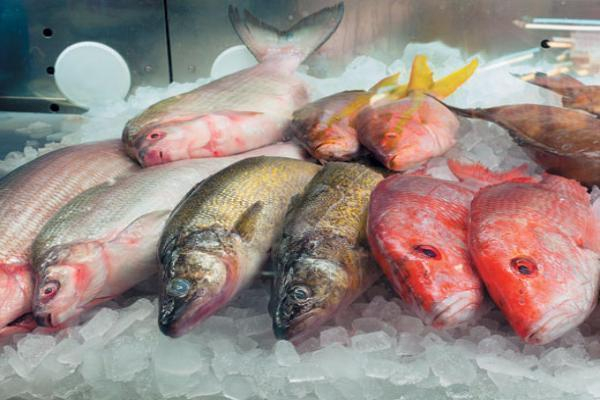 Жителей Таганрога просят обращать особое внимание на рыбные прилавки