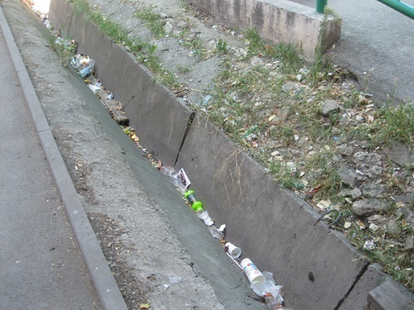 В центре Таганрога в переулке Гоголевском коммунальные службы не убирают мусор
