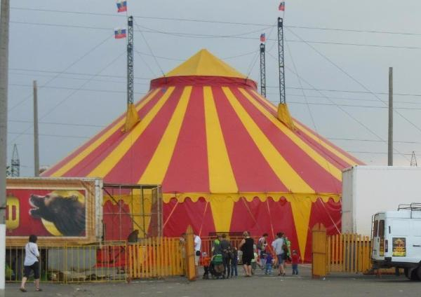 Директор гастролирующего в Таганроге цирка попал в опалу властям