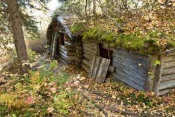 Житель Таганрога 11 лет скрывался в лесу