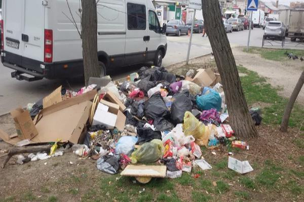 Мариинская гимназия зарастает мусором
