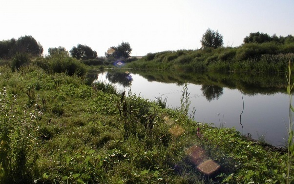 В реке Миус нашли убитого бизнесмена из Таганрога