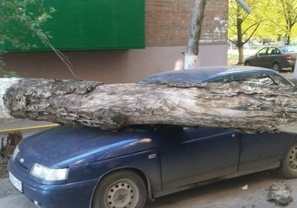 Сильный ветер в Таганроге уронил деревья и балкон