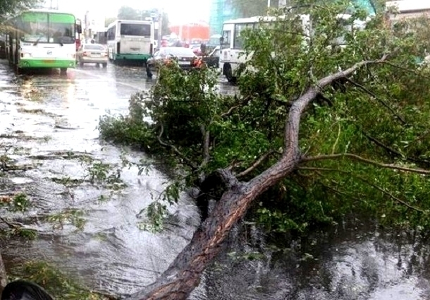 В Таганроге начали выплачивать компенсации пострадавшим от прошлогоднего урагана