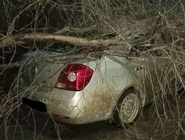 Два автомобиля пострадали от стихии в Таганроге