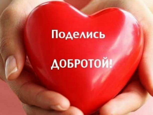 Таганрогские волонтеры просят оказать помощь женщине с детьми