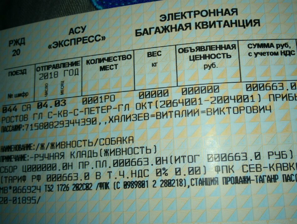 Песику Каштанчику из Таганрога выписали отдельный ж/д билет