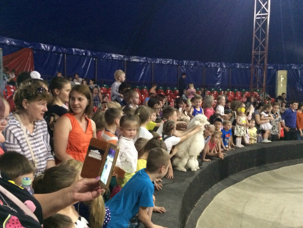 В Таганроге открылся цирк