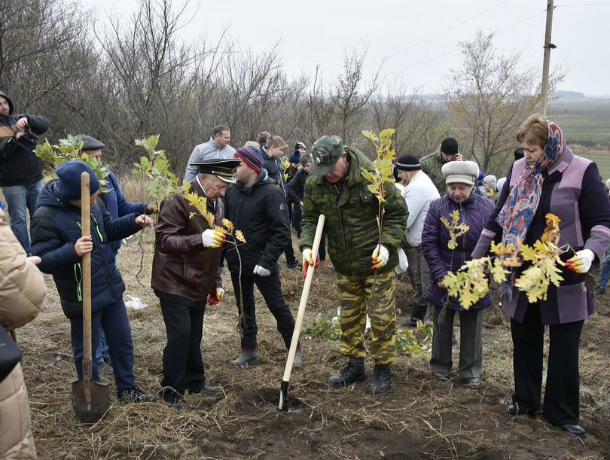 Ученики лицея №28 посадили дубы в память бригадам и морским училищам в хуторе Грунтовский