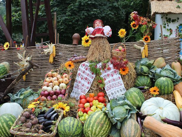 Куда пойти: в Таганроге выходные в честь праздника урожая