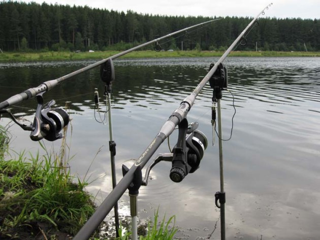 Мастер-класс по рыбной ловле показали таганрогские чиновники