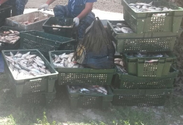 В Таганрогском заливе задержали рыбака с 20 ящиками рыбы