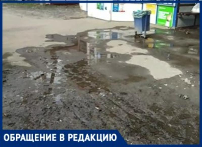 Из-за беспечности собственника магазина в Таганроге годами грязь на остановке общественного транспорта
