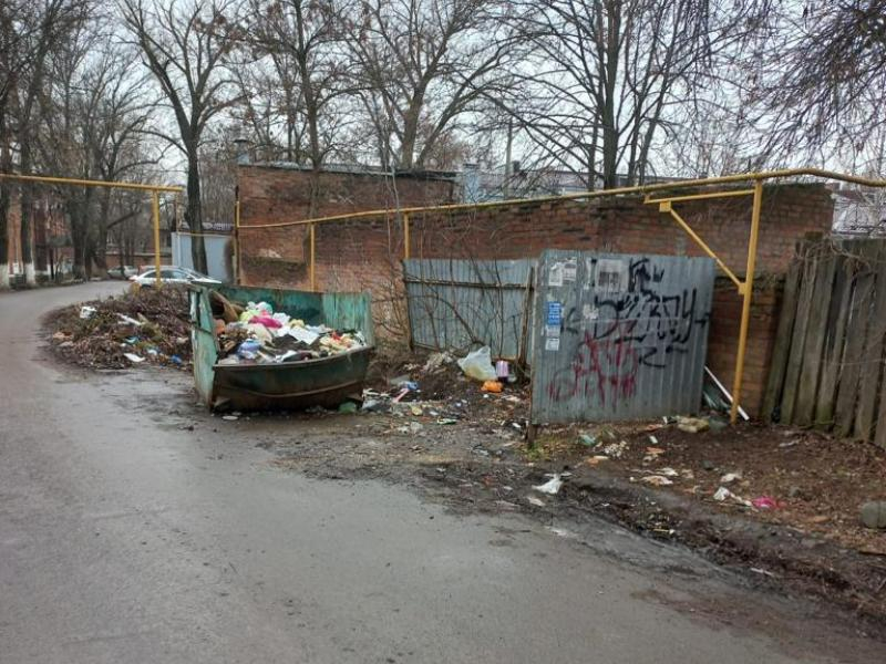 В УК «Приморское» объяснили ситуацию со свалкой и мусорными контейнерами