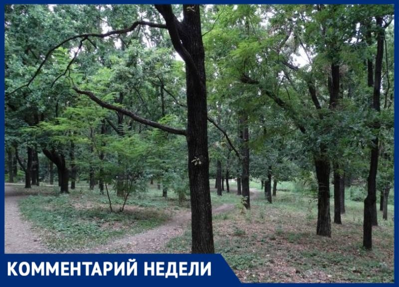 Администрация Таганрога ответила на вопрос о вырубке деревьев в разных районах города