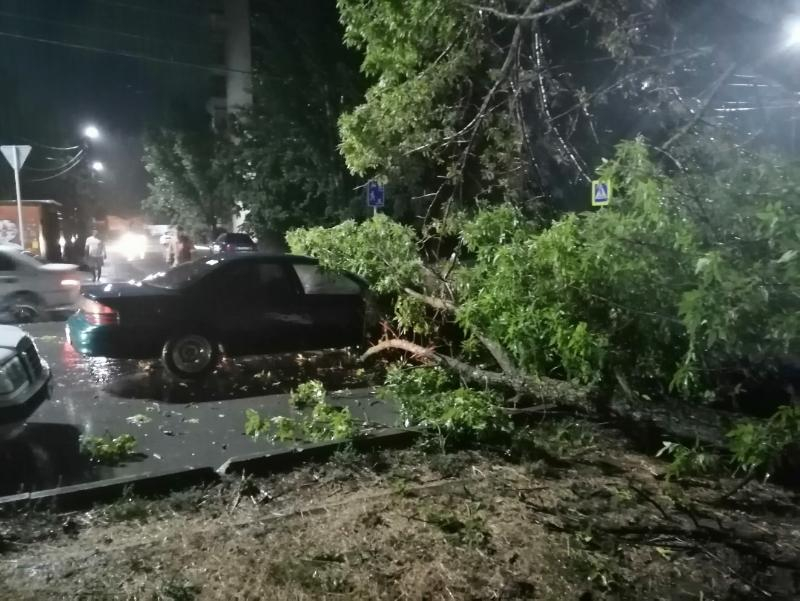 83 тысячи отсудил таганрожец у «Благоустройства» после того как дерево упало на его автомобиль
