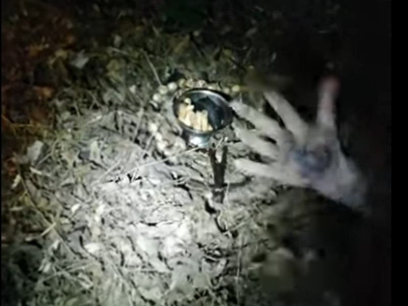 Рука человека вылезла из могилы на Старом кладбище Таганрога