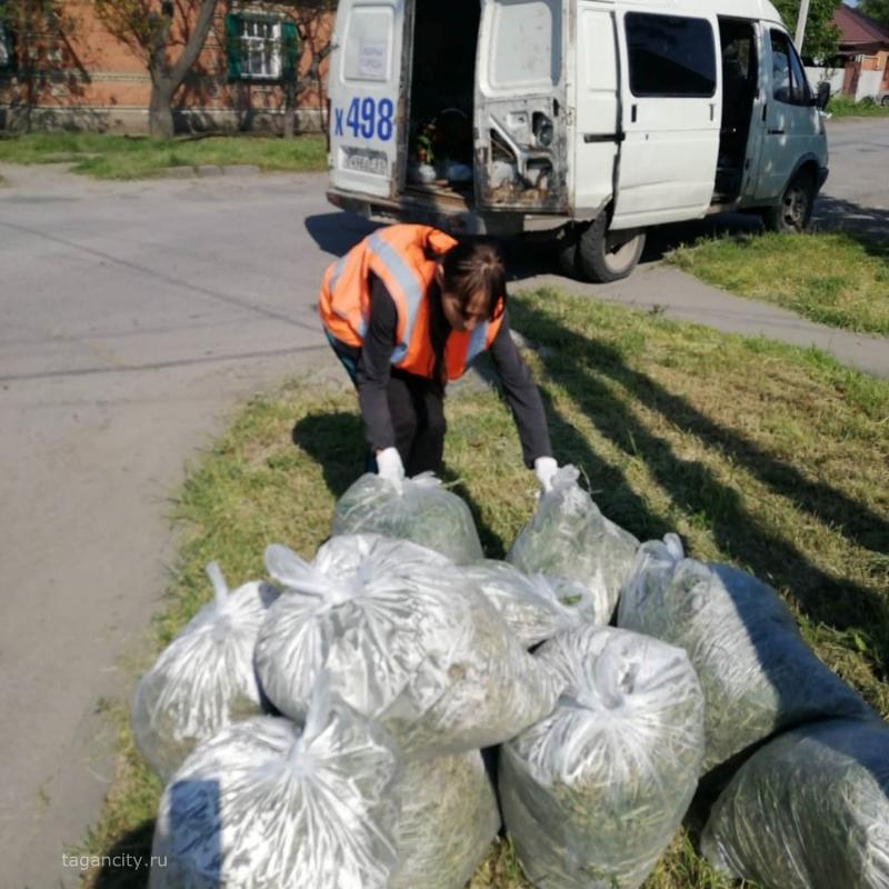 Отчёт МКУ «Благоустройство» по покосу травы в Таганроге