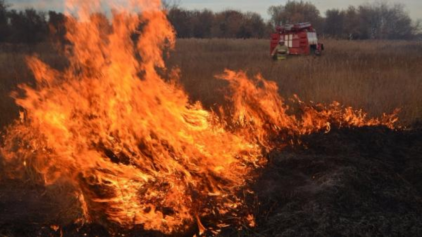 В Таганроге сложилась наихудшая обстановка по возгоранию сухой растительности