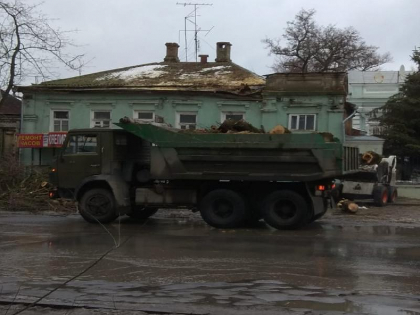 "Сейчас дом жилой развалит": после публикации «Блокнот» в Таганроге спилили старый тополь