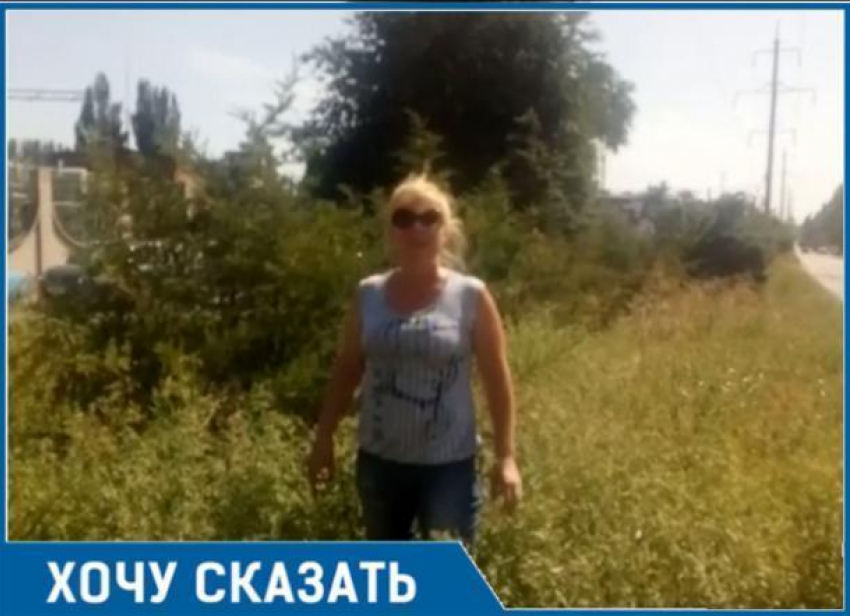 Травой зарос вьезд в Таганрог - на «радость» гостям и туристам