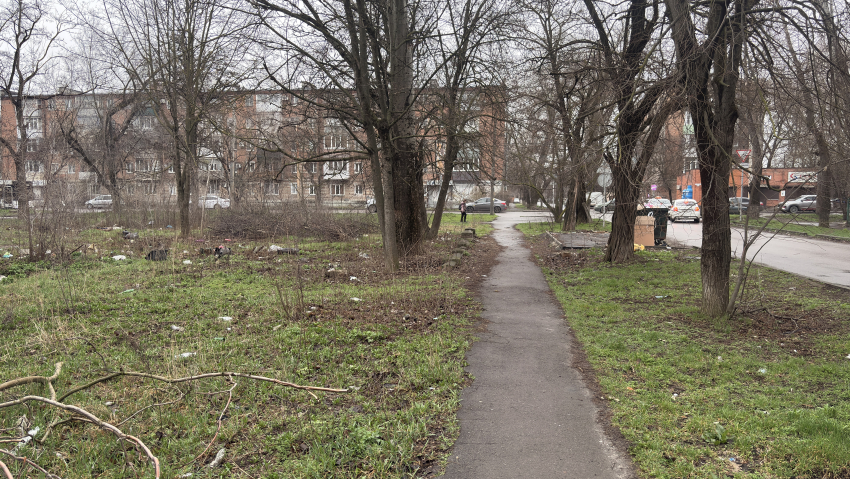 «Здесь не наводили порядок несколько лет»: таганрожцы просят убрать заброшенный участок 