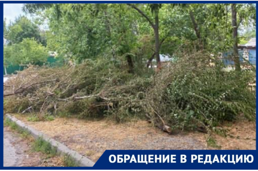 "Две недели дежурим, чтобы пожара не случилось": жители Таганрога напуганы обрезкой деревьев и завалами возле дома