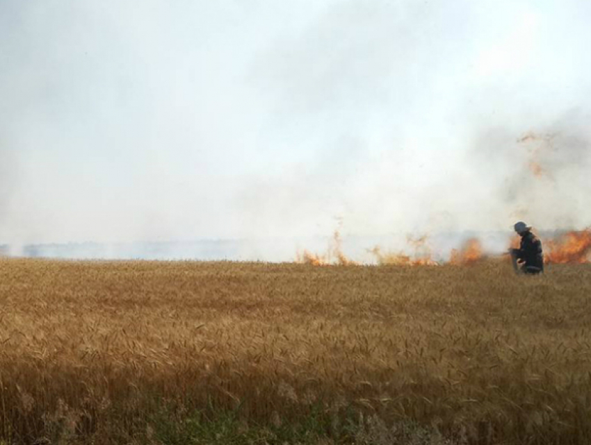 В районе трассы «Таганрог-Ростов»  горели неубранные поля