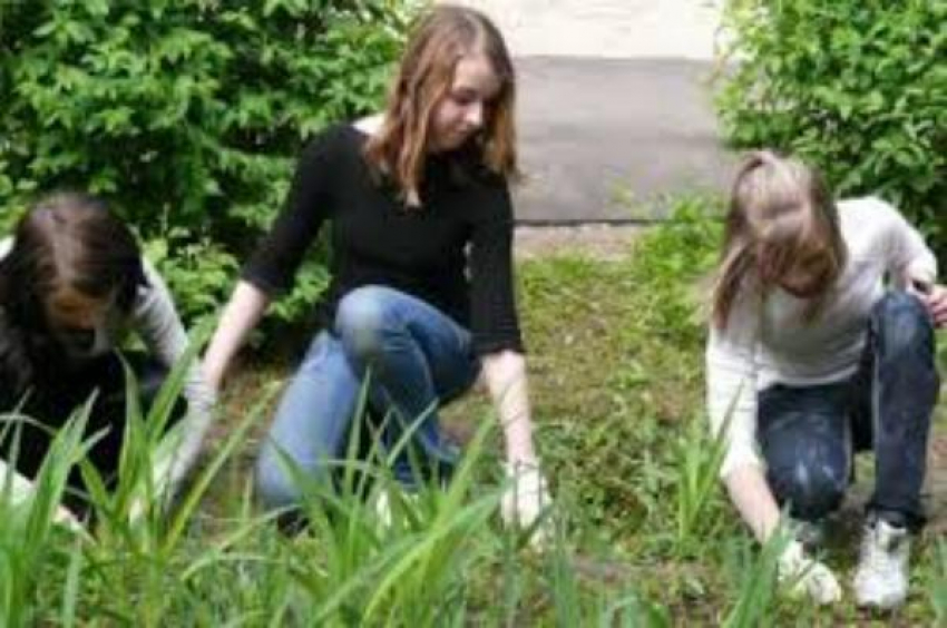 Таганрогским подросткам предложат подработку на лето